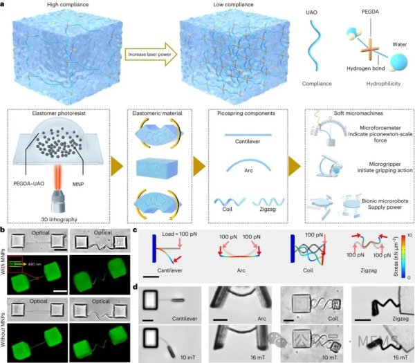 3D纳米制造的软体微型机器人,超灵敏弹簧作为板载传感器和执行器